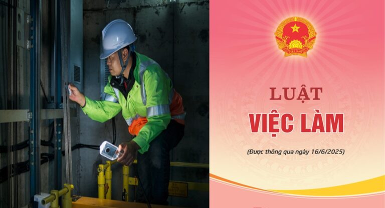 hiep-hoi-thang-may-viet-nam-tham-gia-xay-dung-nghi-dinh-thi-hanh-luat-viec-lam-ve-phat-trien-ky-nang-nghe